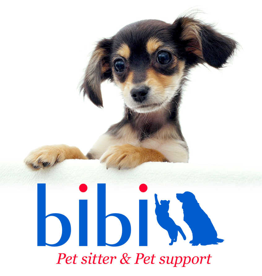 ペットシッター[横浜・神奈川]【bibi】Pet sitter&Pet support